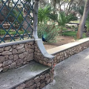  Séjour chez l'habitant 16 Portugal